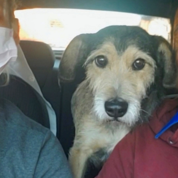 Steven - Picture 2 of 7